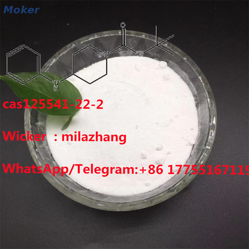Manufacturer Supply 99% Purity Tert-Butyl 4-Anilinopiperidine-1-Carboxylate CAS125541-22-2 with Lowest Price and Fast Delivery