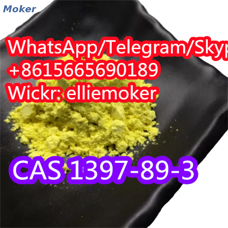 Wholesale CAS 1397-89-3 Amphotericin B 